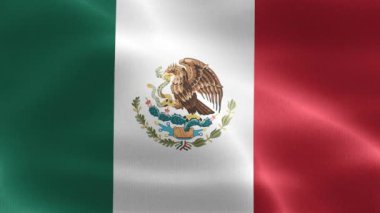 Meksika bayrağı - gerçekçi kumaş bayrağı