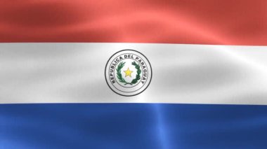 Paraguay bayrağı - gerçekçi kumaş bayrağı