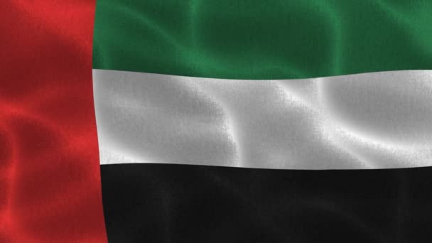 Bandera Emiratos Árabes Unidos Bandera Realista Ondeando Tela — Vídeo de stock