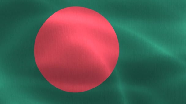 Bangladeş Bayrağı Gerçekçi Kumaş Bayrağı — Stok video