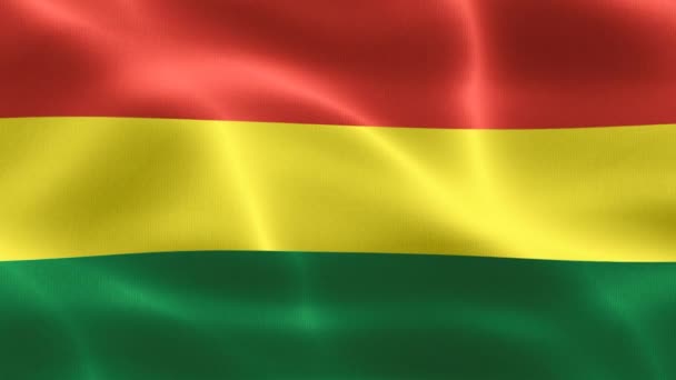 Bolivia Vlag Realistische Zwaaiende Stof Vlag — Stockvideo