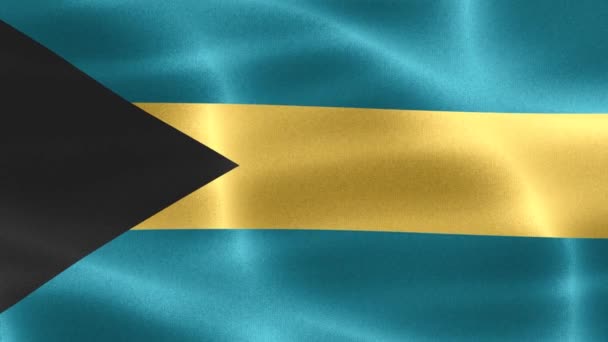 Bandera Bahamas Bandera Tela Ondeante Realista — Vídeo de stock