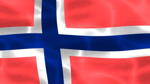 Bouvet Island Flagga Realistisk Vinka Tyg Flagga — Stockvideo