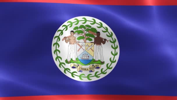 Belize Vlag Realistische Zwaaiende Stof Vlag — Stockvideo