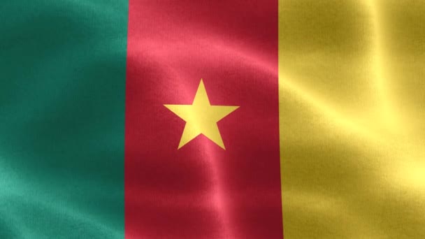 Флаг Камеруна Реалистичный Тканевый Флаг — стоковое видео