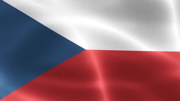 체코의 현실적으로 흔들고 — 비디오