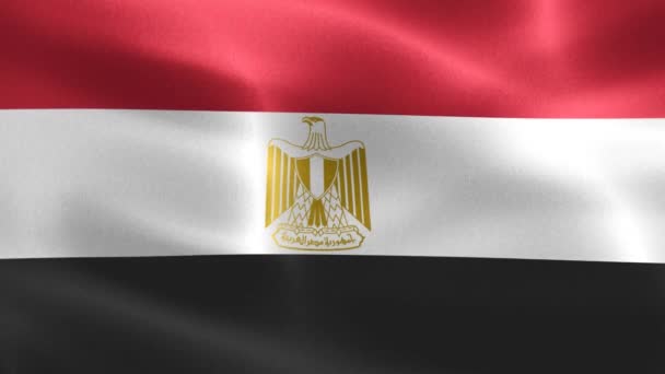 Bandera Egipto Bandera Tela Ondeante Realista — Vídeo de stock