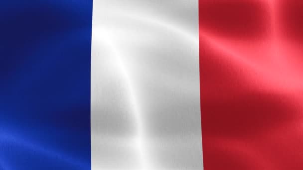 Bandera Francia Bandera Tela Ondeante Realista — Vídeo de stock