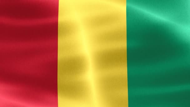 Флаг Гвинеи Реалистичный Тканевый Флаг — стоковое видео