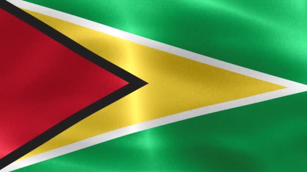 Bandeira Guiana Bandeira Tecido Ondulação Realista — Vídeo de Stock