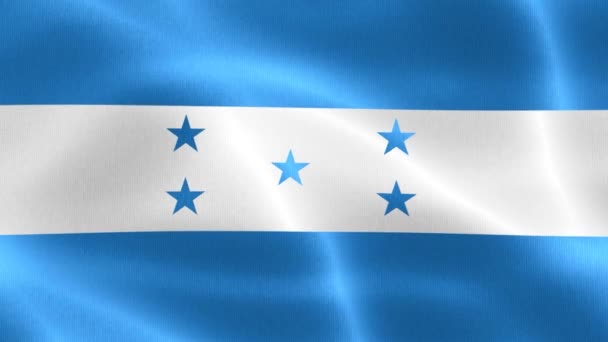 Honduras Flag Realistic Waving Fabric Flag — Stock Video
