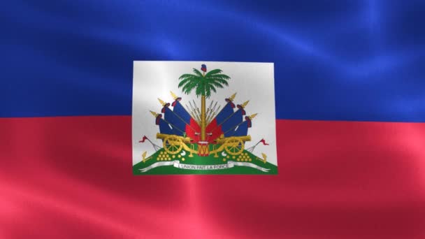 Bandera Haití Bandera Tela Ondeante Realista — Vídeos de Stock