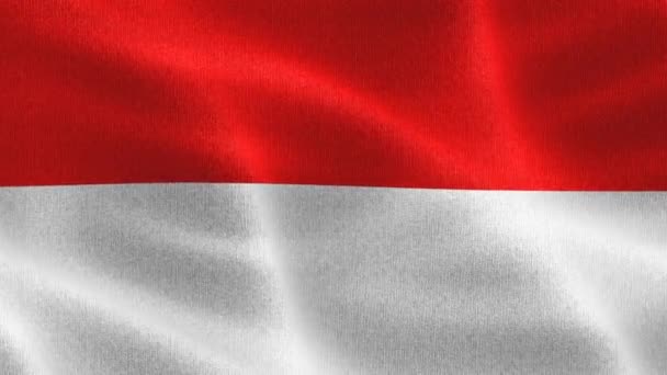 Indonesien Flagga Realistisk Vinka Tyg Flagga — Stockvideo