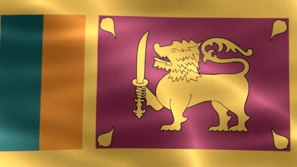 Σημαία Σρι Λάνκα Ρεαλιστική Κυματιστή Σημαία Υφάσματος — Αρχείο Βίντεο