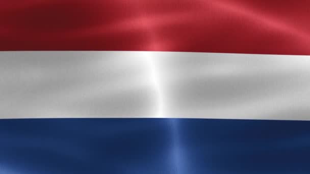 Bandera Holanda Bandera Tela Ondeante Realista — Vídeo de stock