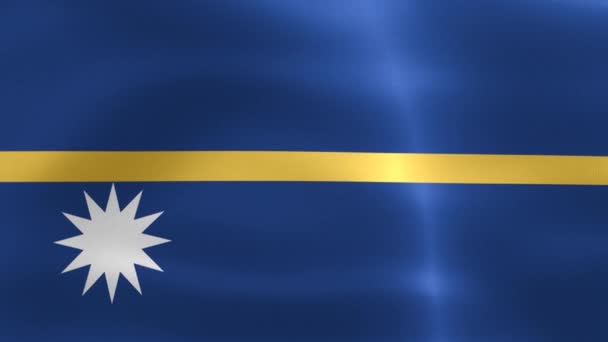 Nauru Vlajka Realistické Mávání Tkaniny Vlajka — Stock video