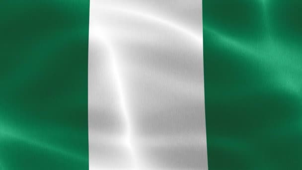 Bandera Nigeria Bandera Tela Ondeante Realista — Vídeo de stock