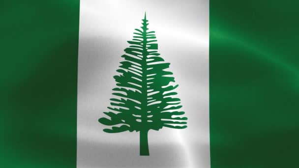 Bandeira Ilha Norfolk Bandeira Tecido Ondulante Realista — Vídeo de Stock