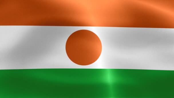 Niger Vlag Realistische Zwaaiende Stof Vlag — Stockvideo