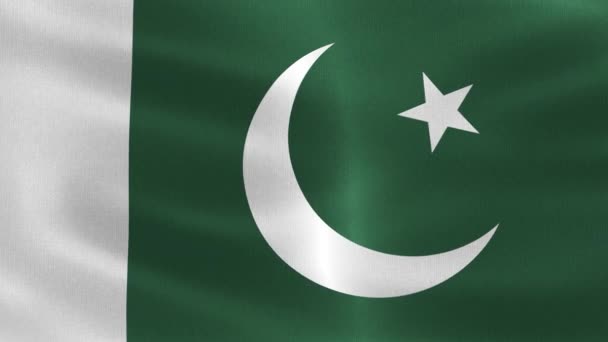 Pakistan Flagge Realistisch Schwenkende Stofffahne — Stockvideo