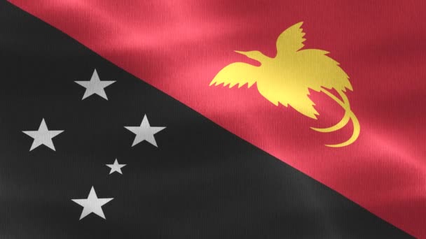 Papua Neuguinea Flagge Realistisch Schwenkende Stofffahne — Stockvideo