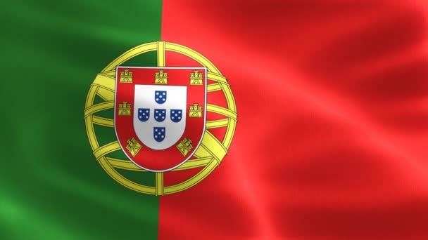 Portugese Vlag Realistische Vlag Van Wuivend Weefsel — Stockvideo