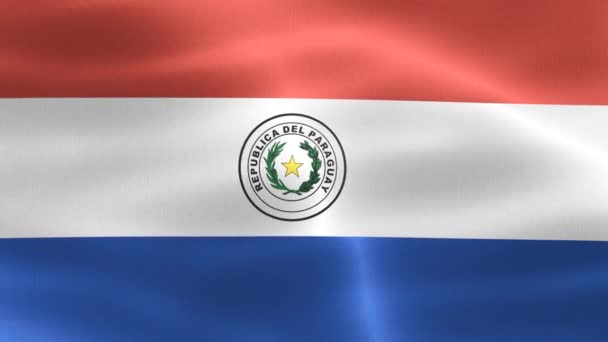 Paraguay Flagge Realistisch Schwenkende Stofffahne — Stockvideo