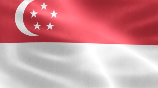 Singapur Bayrağı Gerçekçi Kumaş Bayrağı — Stok video