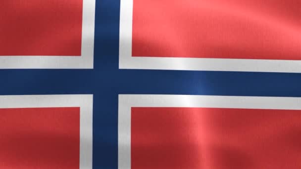 Bandera Svalbard Jan Mayen Bandera Tela Ondeante Realista — Vídeo de stock