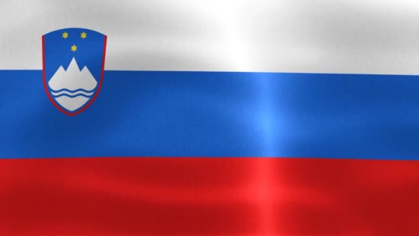 Ilustração Uma Bandeira Eslovénia Bandeira Tecido Ondulante Realista — Vídeo de Stock