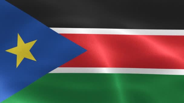 Illustration Einer Südsudan Flagge Realistisch Schwenkende Stofffahne — Stockvideo