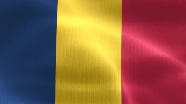 Ilustración Una Bandera Chad Bandera Tela Ondeante Realista — Vídeo de stock