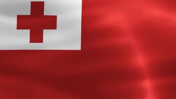 Illustration Tonga Flag Realistic Waving Fabric Flag — Stock Video