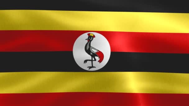 ウガンダの旗の3Dイラスト 現実的な波の布の旗 — ストック動画
