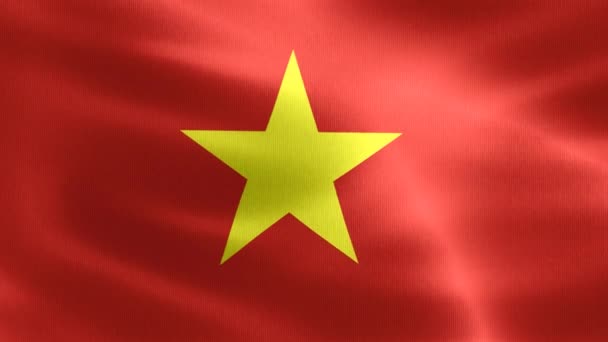 Ilustracja Flagi Wietnamu Realistyczna Flaga Falistej Tkaniny — Wideo stockowe