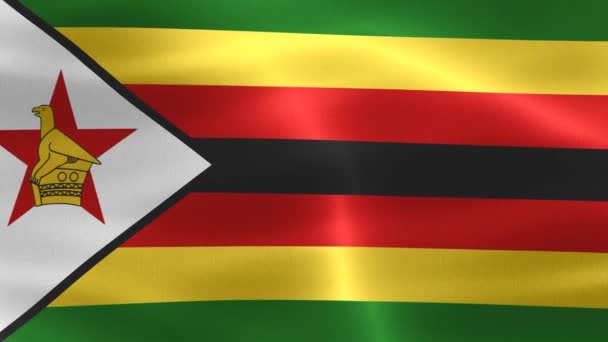Illustrasjon Zimbabwe Flagg Realistisk Vifteflagg – stockvideo