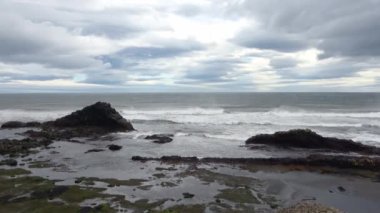 İzlanda 'nın bazalt kaya kıyılarında yoğun dalgalar.
