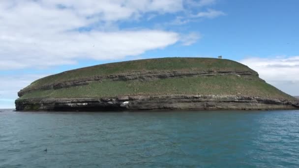 Вид Остров Пуффин Севере Исландии — стоковое видео