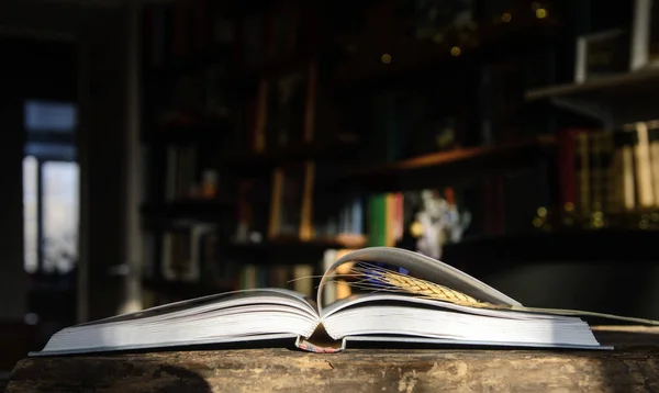 Wheat ears lie on the pages of an open book. Concept - earth day holiday