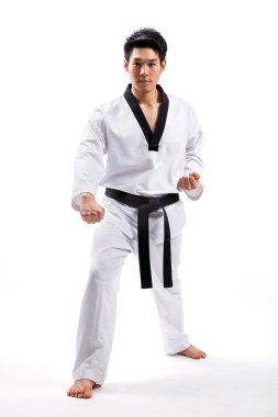 Taekwondo actieTaekwondo eylem