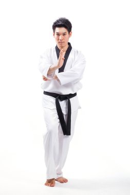 Taekwondo actieTaekwondo eylem