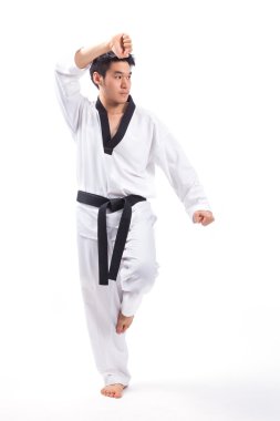 Taekwondo actieTaekwondo eylem