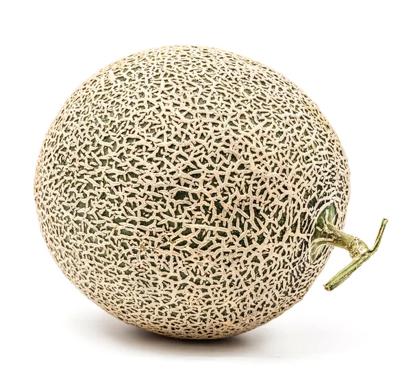 Melon simple — Photo