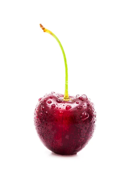 Één cherry — Stockfoto