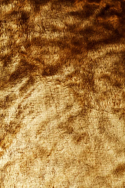 Золотой мех — стоковое фото