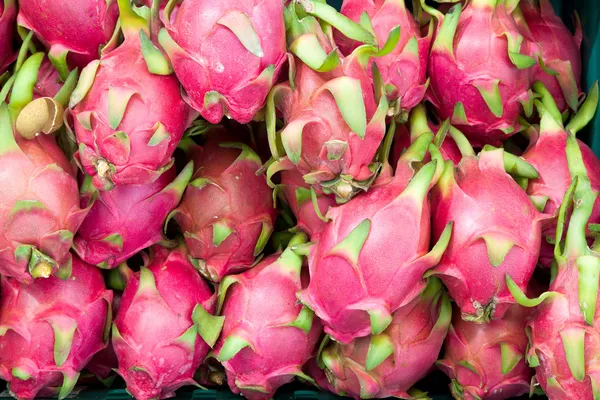 Cerca de fruta de dragón — Foto de Stock