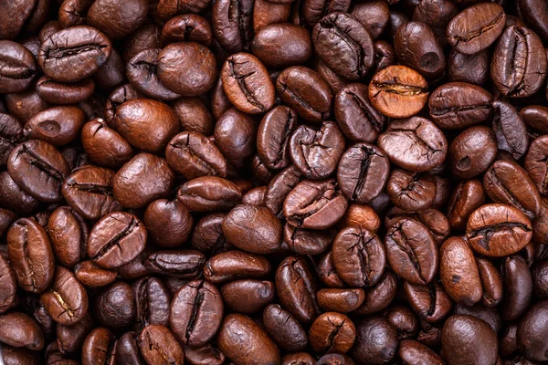 coffee seed