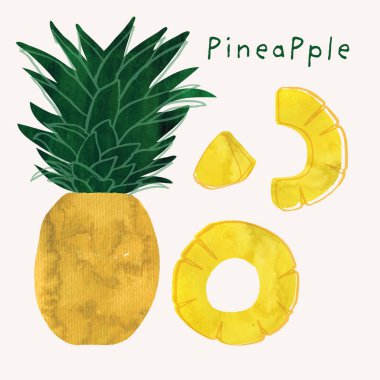 Pineapple tropical fruit watercolor illustration set. Painterly watercolor texture and ink drawing elements. Hand painted and hand drawn