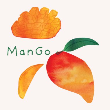 Mango tropical fruit watercolor illustration set. Painterly watercolor texture and ink drawing elements. Hand drawn and hand painted