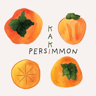 Hurma veya kaki meyveli suluboya çizim seti. Resimli suluboya doku ve mürekkep çizim elementleri. El çizimi ve el boyaması.